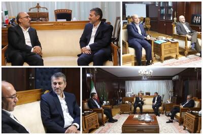 همافزایی گمرک و مناطق آزاد برای تسهیل تجارت