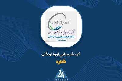 شفافسازی «شلرد»؛کاهش تولید و فروش عامل اصلی نوسان در سود عملیاتی