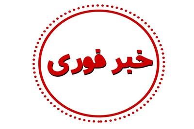 فوری/ لغو پروازها در آمریکا به دلیل اختلال سیستمی!/ آیا سیستم هک شده است؟