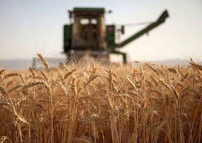پرداخت مطالبات گندمکاران به کجا رسید؟