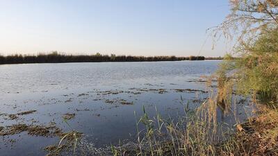 سفر به تالاب بامدژ در جلگه خوزستان