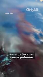 حمله هولناک کوسه به اینفلوئنسر مشهور ماهیگیری