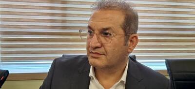 نسخه یونسکو برای نجات تاریخ مدفون بلاد شاپور روی میز استاندار کهگیلویه و بویراحمد/ ۸۰ درصد بناهای تاریخی بلاد شاپور هنوز زیر زمین است