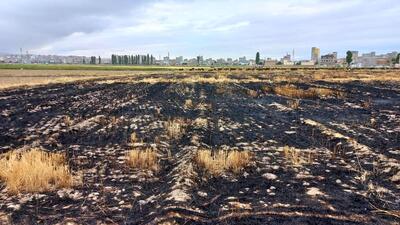  ممنوعیت سوزاندن بقایای گیاهی پس از برداشت محصول در اردبیل