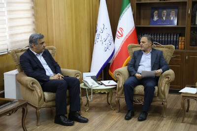 استاندار زنجان: ظرفیتهای درمانی تامین اجتماعی در شهرستانهای استان توسعه یابد