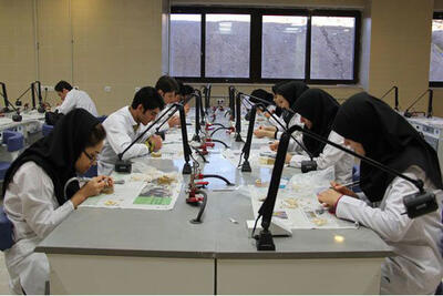  از آموزش و پژوهش تا نوآوری؛ مسیر جهاددانشگاهی برای ارتقای سلامت جامعه