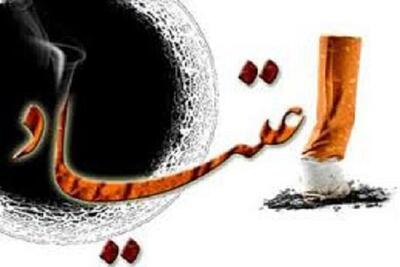 مقابله با اعتیاد نباید صرفاً به اجرای ماده ۱۶ محدود شود