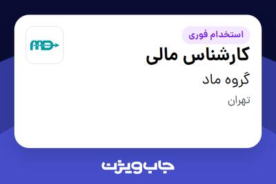  استخدام کارشناس مالی در گروه ماد