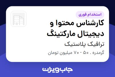  استخدام کارشناس محتوا و دیجیتال مارکتینگ - خانم در ترافیک پلاستیک