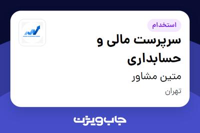 استخدام سرپرست مالی و حسابداری در متین مشاور