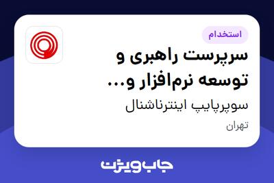  استخدام سرپرست راهبری و توسعه نرم‌افزار و سیستم‌ها در سوپرپایپ اینترناشنال