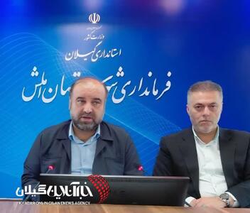 فرماندار املش خواستار همافزایی کتابخانههای عمومی و آموزش و پرورش برای ترویج کتابخوانی شد