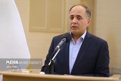 نوری: برای اصلاح نظام نان باید تفکیک وظایف شود