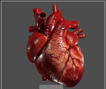  این مواد غذایی برای سلامت قلب مفید است