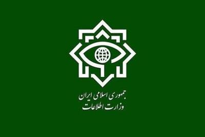  وزارت اطلاعات از ضربه سخت به گروهک‌های تروریستی در جنوب شرق کشور خبرداد