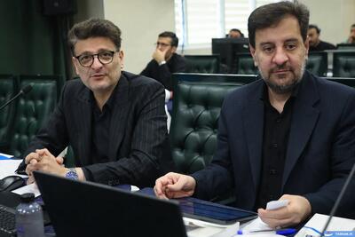عکس: جلسه علنی مجازی مجلس شورای اسلامی