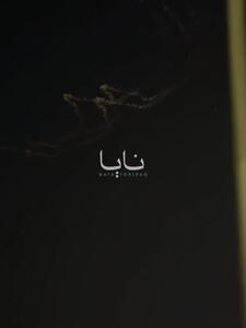 فعال شدن سامانه پاتریوت آمریکایی در اردن