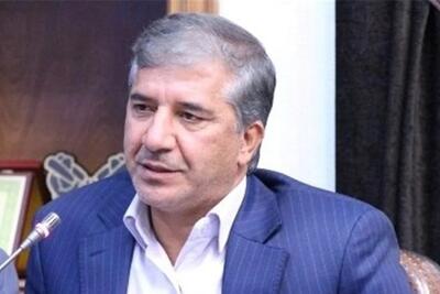 انارکی: دولت در تأمین کالاهای اساسی و مدیریت معیشت مردم عملکرد بسیار خوبی داشته است