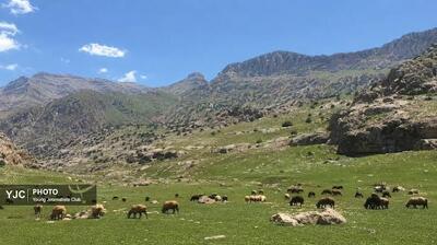  بهره گیری از دانش بومی برای دست یابی به حفاظت مشارکتی