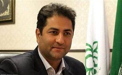 افتخارآفرینی ۸ دانشآموز فارسی در پویش ملی «ایران سرسبز»