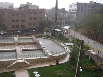 خیز شهرداری تهران برای تبدیل بوستان چیذر به پارکینگ!