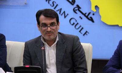 علی باستین مدیرکل دیوان محاسبات بوشهر شد
