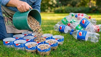 ساخت گلدان دکوری با بطری پلاستیکی و سنگ ریزه