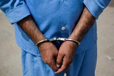  فرد سابقه‌دار پس از انتشار فیلم ضرب‌وشتم بانوان دستگیر شد