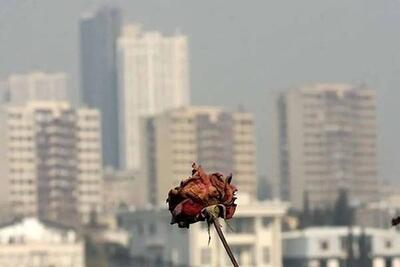  هوای تهران با شاخص ۱۲۶ و آلاینده ازن، در وضعیت نارنجی و ناسالم برای گروه‌های حساس قرار گرفت.