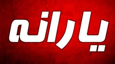 یک تغییر مهم یارانه ای در دهکهای 4 تا 9