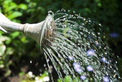  احیای باغچه در میانه موج گرمای تابستانی