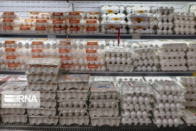 تخممرغ بستهبندی؛ کیفیتی که باید تضمین شود