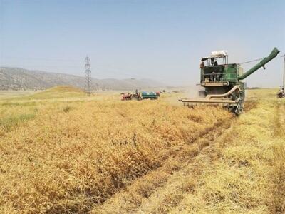 دستگاه مخصوص برداشت حبوبات در بوکان رونمایی شد