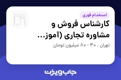  استخدام کارشناس فروش و مشاوره تجاری (آموزش از صفر) در سازمانی فعال در حوزه اینترنت / تجارت الکترونیک / خدمات آنلاین