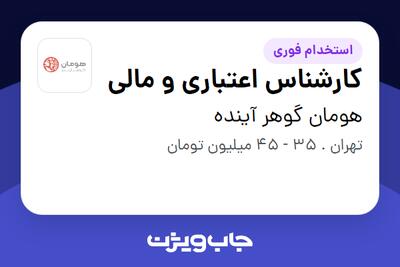  استخدام کارشناس اعتباری و مالی - خانم در هومان گوهر آینده
