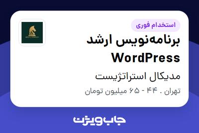  استخدام برنامه‌نویس ارشد WordPress در مدیکال استراتژیست