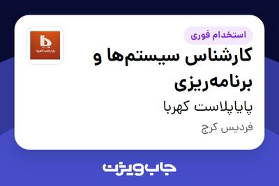  استخدام کارشناس سیستم‌ها و برنامه‌ریزی - آقا در پایاپلاست کهربا