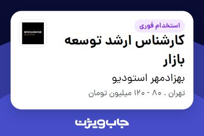  استخدام کارشناس ارشد توسعه بازار - خانم در بهزادمهر استودیو
