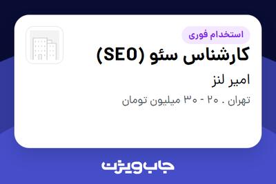  استخدام کارشناس سئو (SEO) در امیر لنز