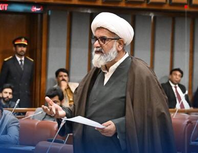 سناتور پاکستانی حملات آمریکا و عربستان به عراق را تهدیدی برای ثبات منطقه دانست
