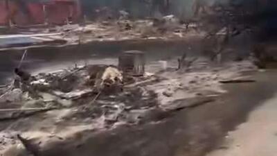 شهر لو پورژ در فرانسه در آتش سوخت و این حادثه جنجال بزرگی را بر انگیخت