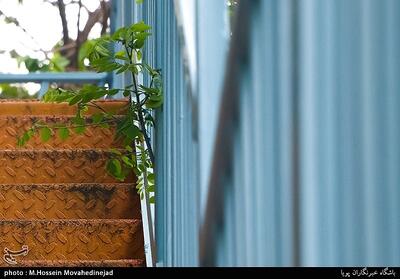 هوای قابلقبول تهران با شاخص 99 - تسنیم