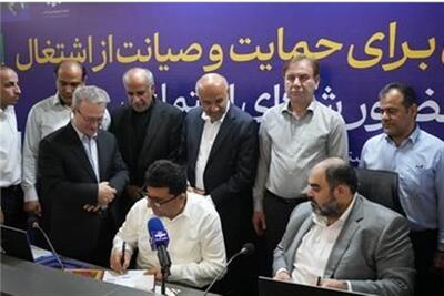 امضای 4 تفاهمنامه در سفر وزیر کار به بوشهر - تسنیم