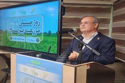 راه اندازی ۶۵ مزرعه الگویی برای ۶ محصول کشاورزی در کشور