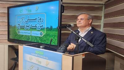 راه اندازی ۶۵ مزرعه الگویی برای ۶ محصول کشاورزی در کشور