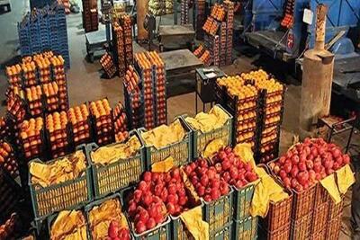 بازار میوه امروز جمعه ۹ مرداد ۱۴۰۵ | کاهش قیمت هلو، زردآلو، شلیل، سیب و گیلاس در میادین میوه و ترهبار تهران / جدیدترین نرخها اعلام شد؛ قیمت هلو از ۱۷۰ تا ۱۹۰ هزار تومان، گیلاس ۲۰۵ هزار تومان و سیب