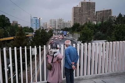  خبر مهم وزیر کار درباره متناسب‌سازی حقوق بازنشستگان / بازنشستگان زیر ۴۰ سال چند نفرند؟
