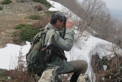  چالش‌های جنگلبانان شرکتی چیست؟