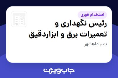 استخدام رئیس نگهداری و تعمیرات برق و ابزاردقیق - آقا در سازمانی فعال در حوزه نفت، گاز و پتروشیمی