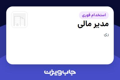  استخدام مدیر مالی در سازمانی فعال در حوزه مد و کالاهای لوکس